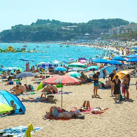 Al36 - De Lujo A 100 Metros De Playa 아파트 *